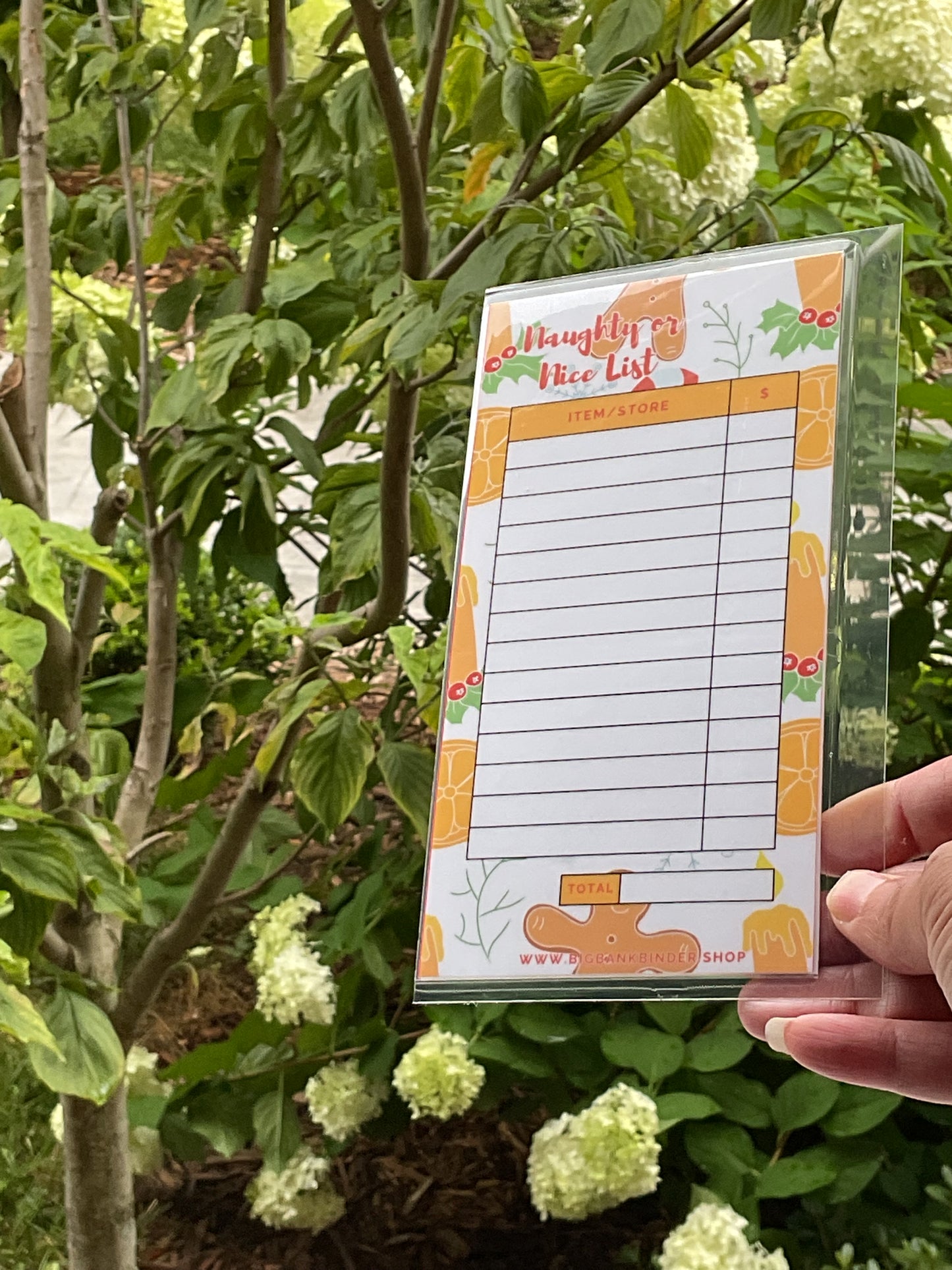 Christmas gingerbread cash envelope with Naughty or Nice store list