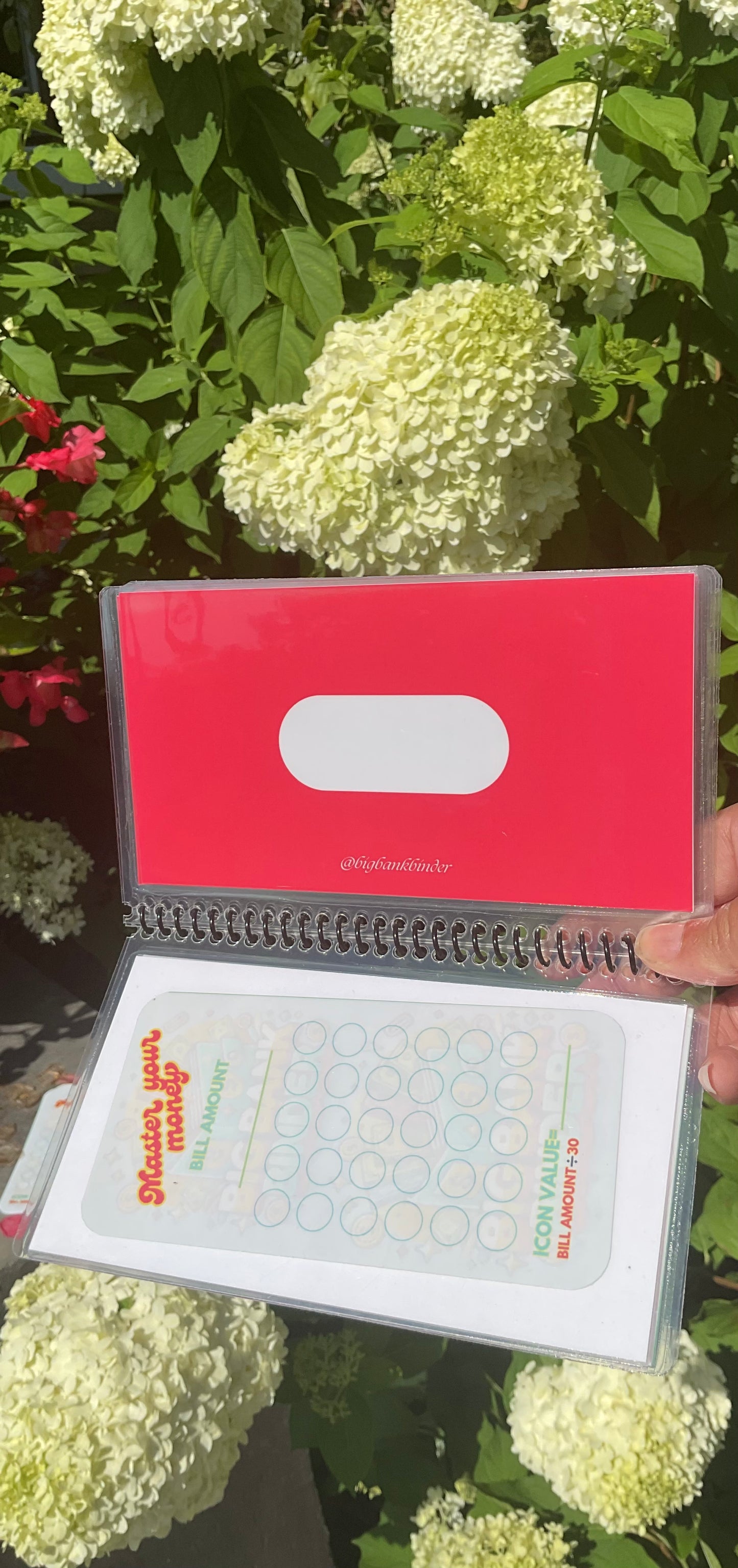 Month Ahead Cash Book