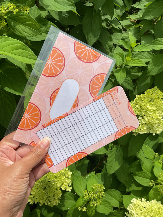 Fresh Fruit envelope bundle 6