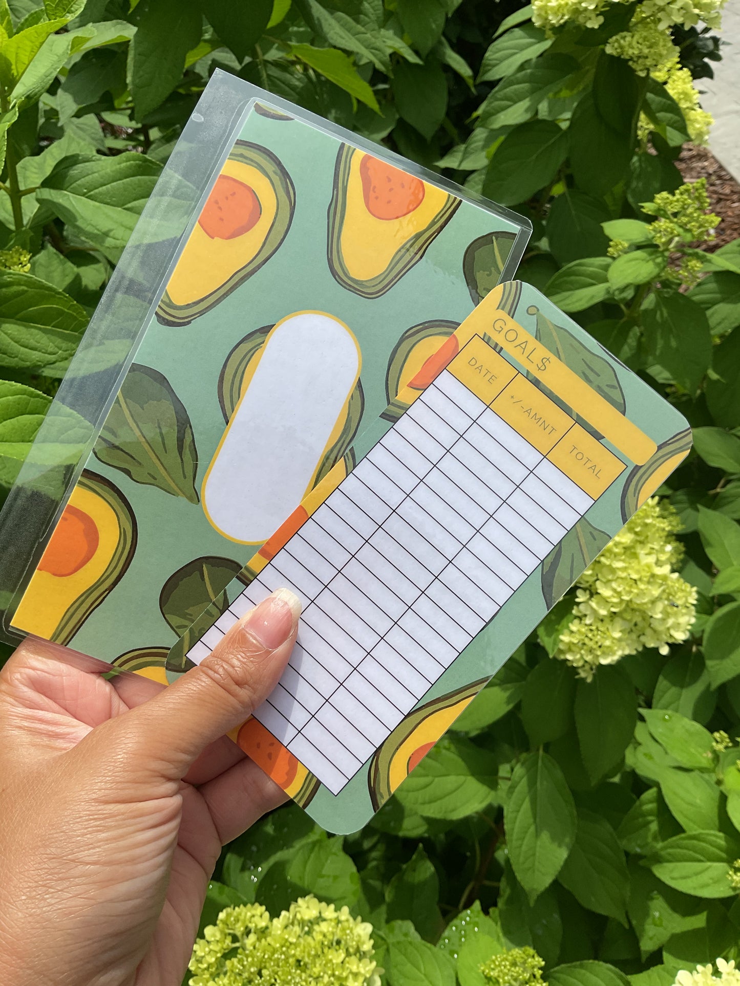 Fresh Fruit envelope bundle 6