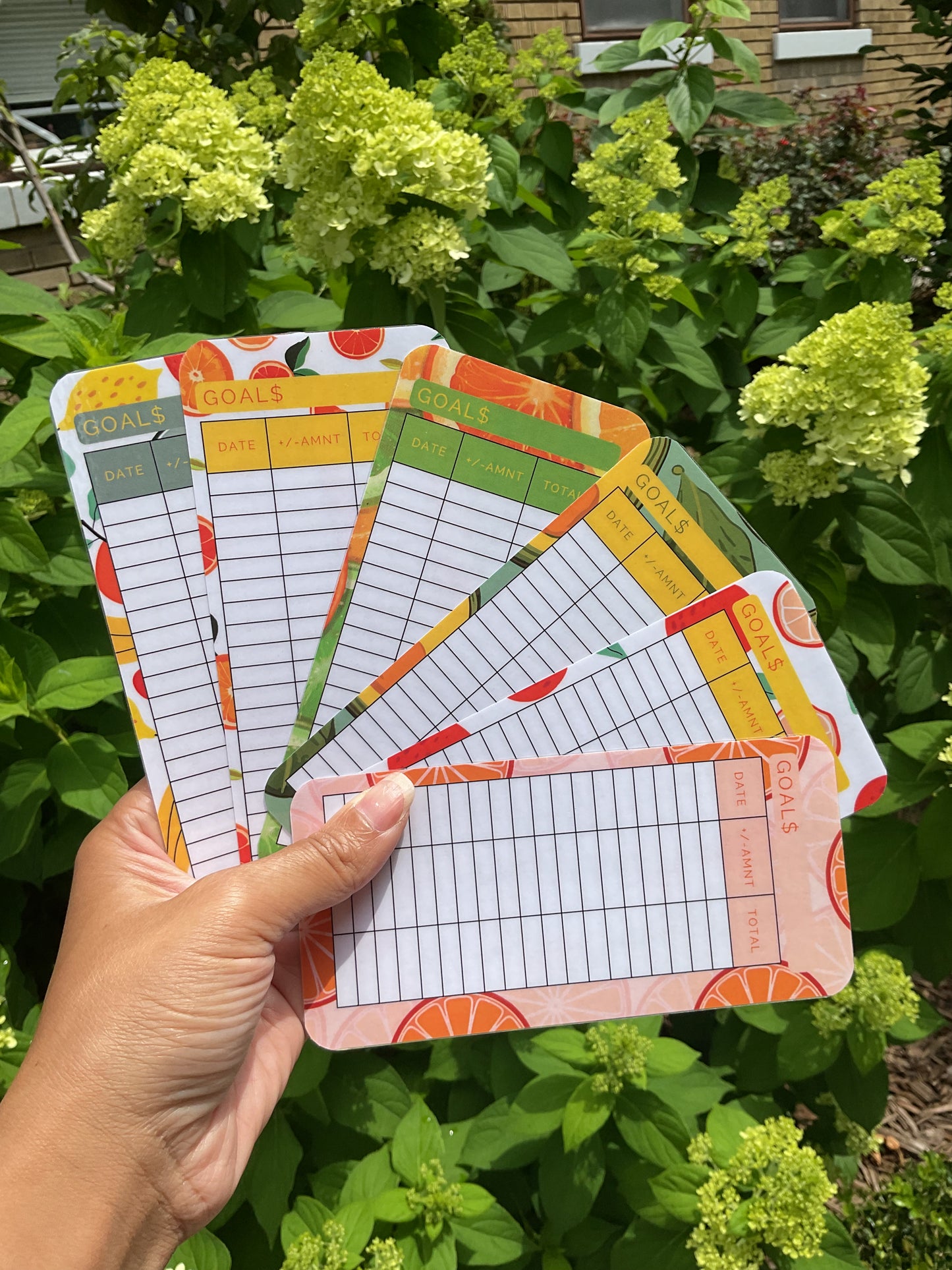 Fresh Fruit envelope bundle 6