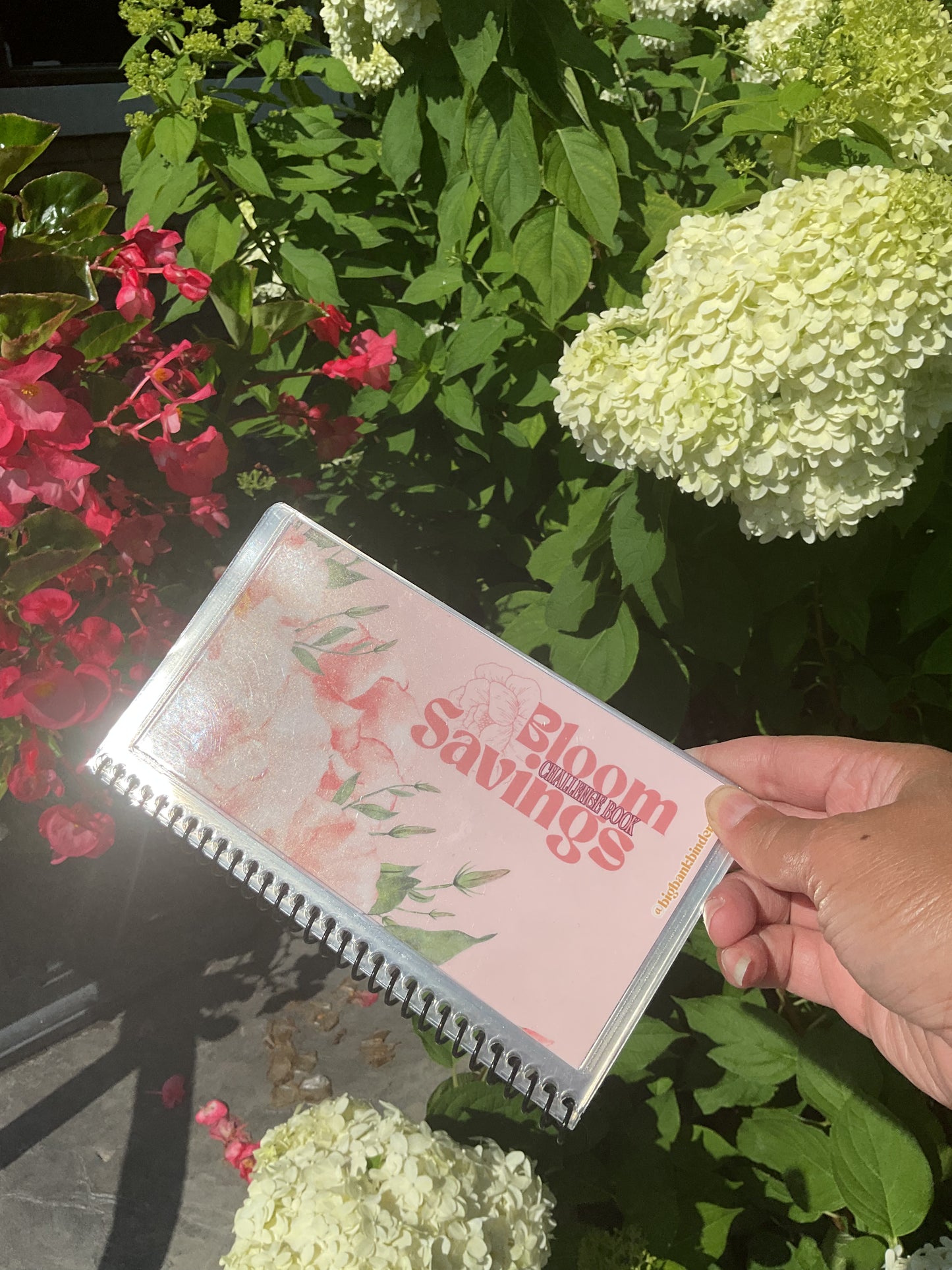 Bloom Savings Challenge $1, $2, $5, $10, and $20