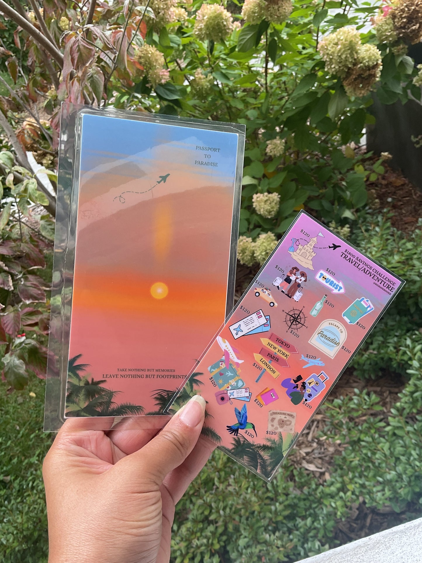 Travel/adventure savings challenge