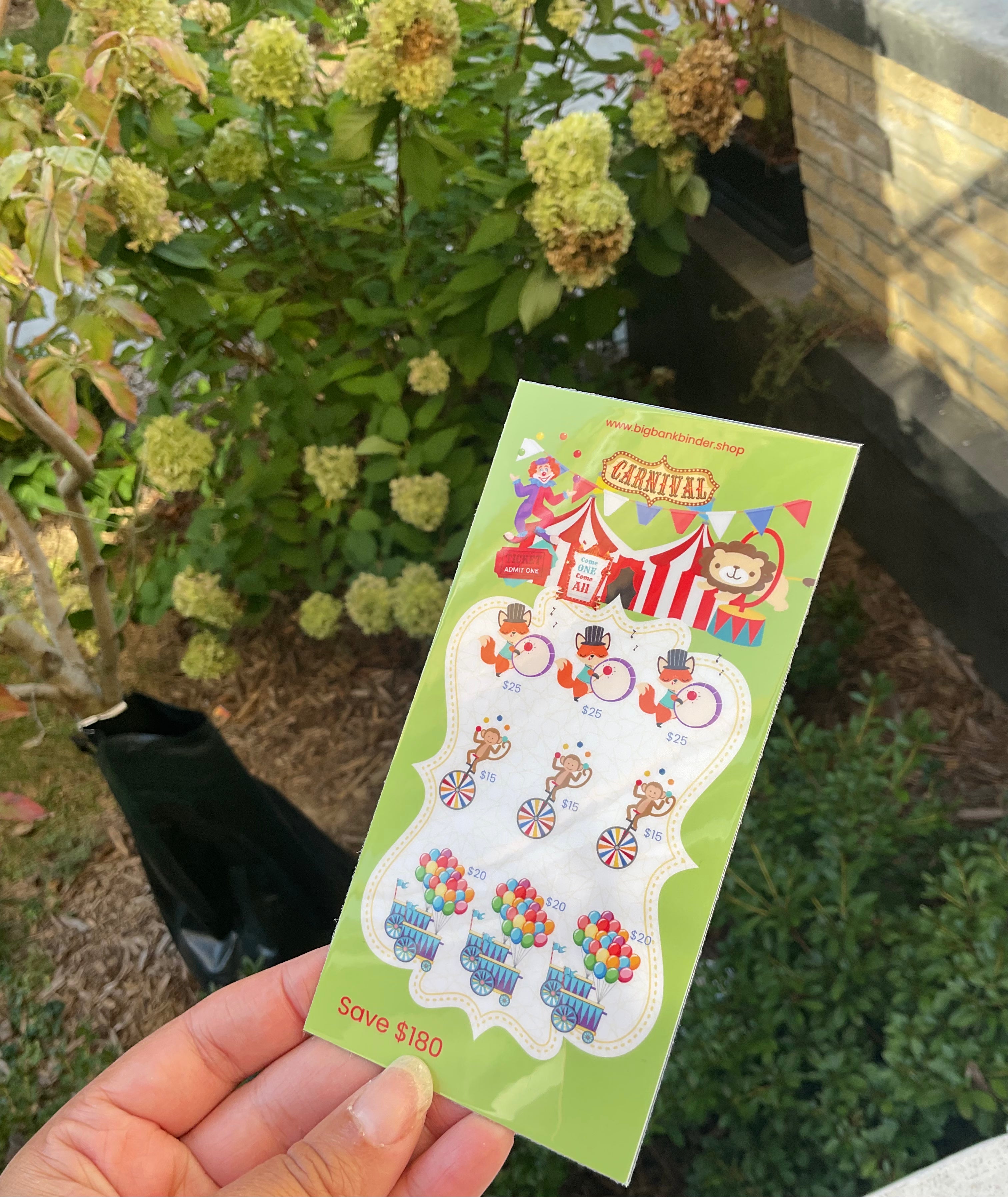 $180 Carnival savings challenge