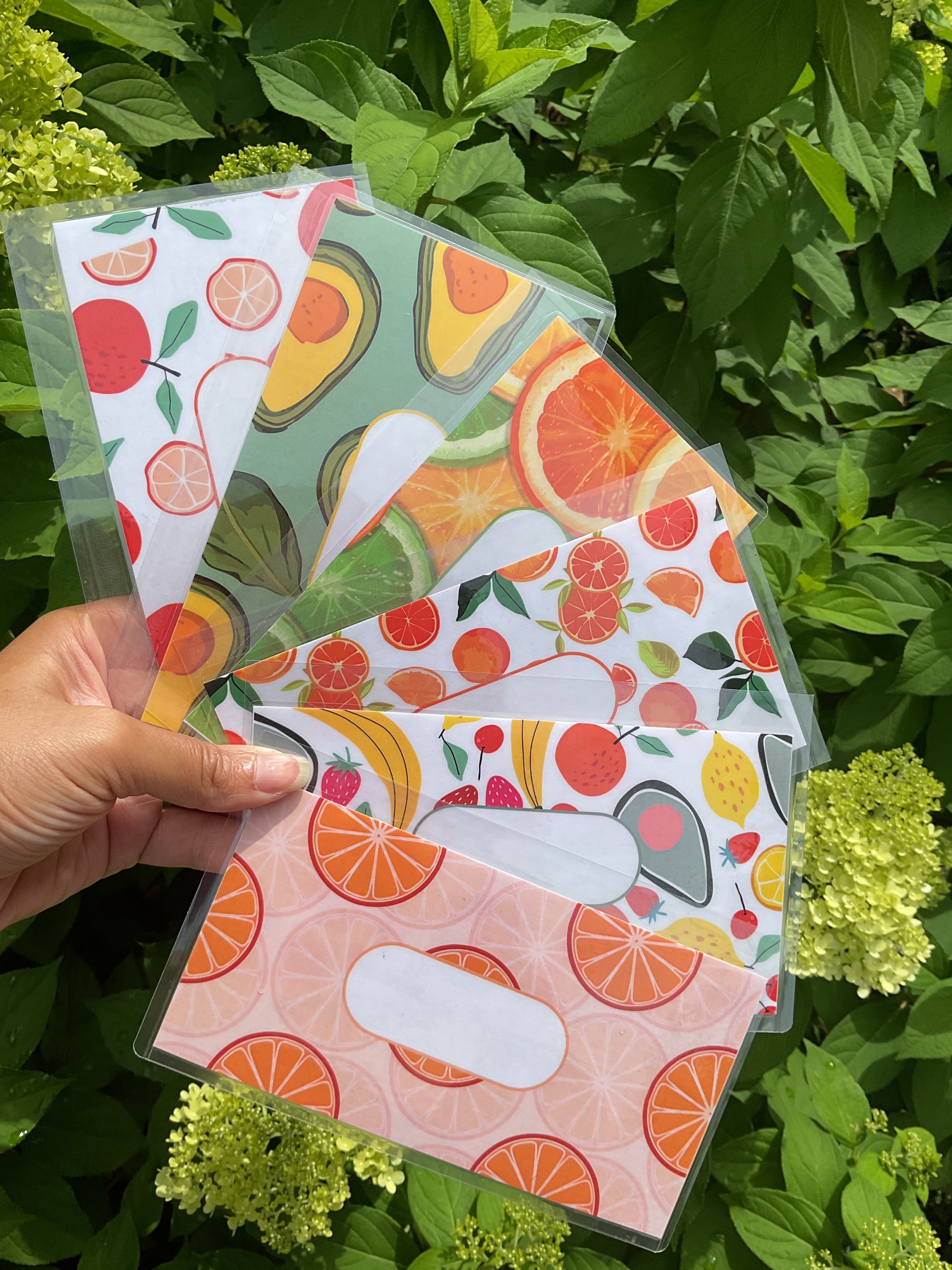 Fresh Fruit envelope bundle 6