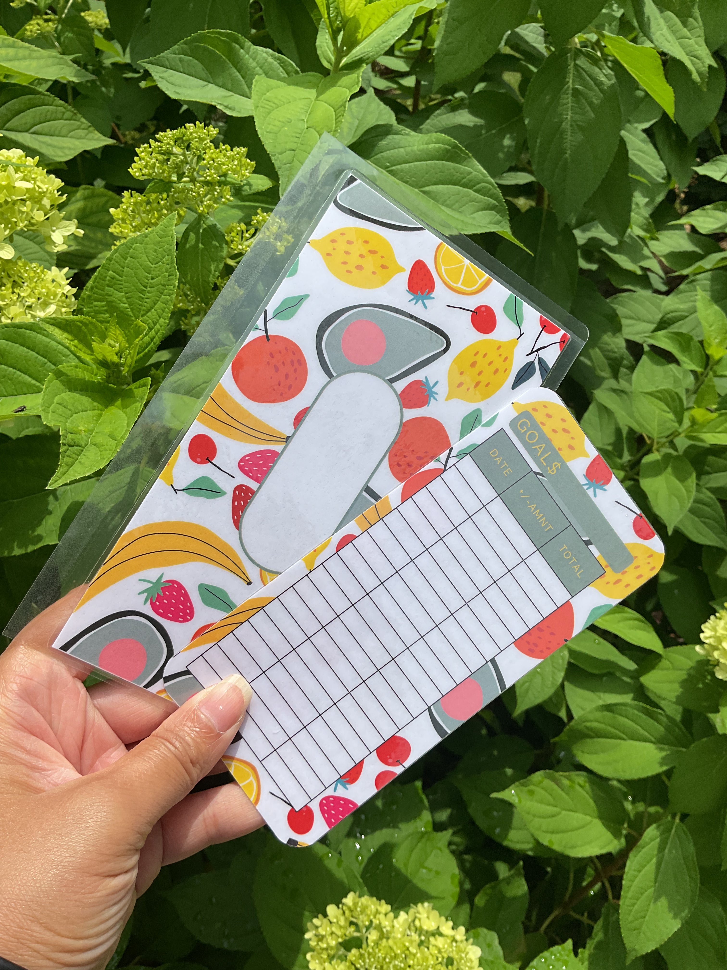 Fresh Fruit envelope bundle 6