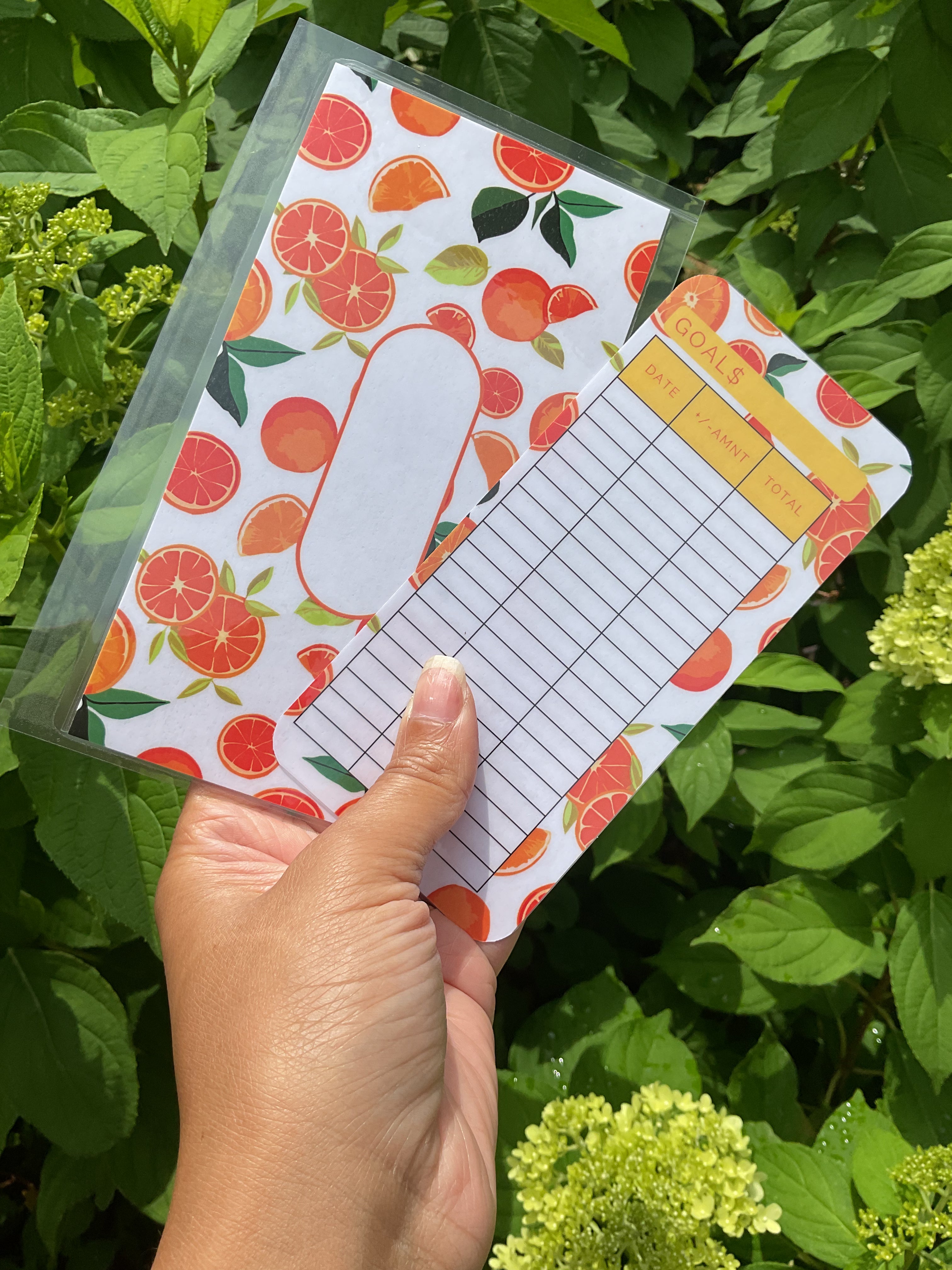 Fresh Fruit envelope bundle 6