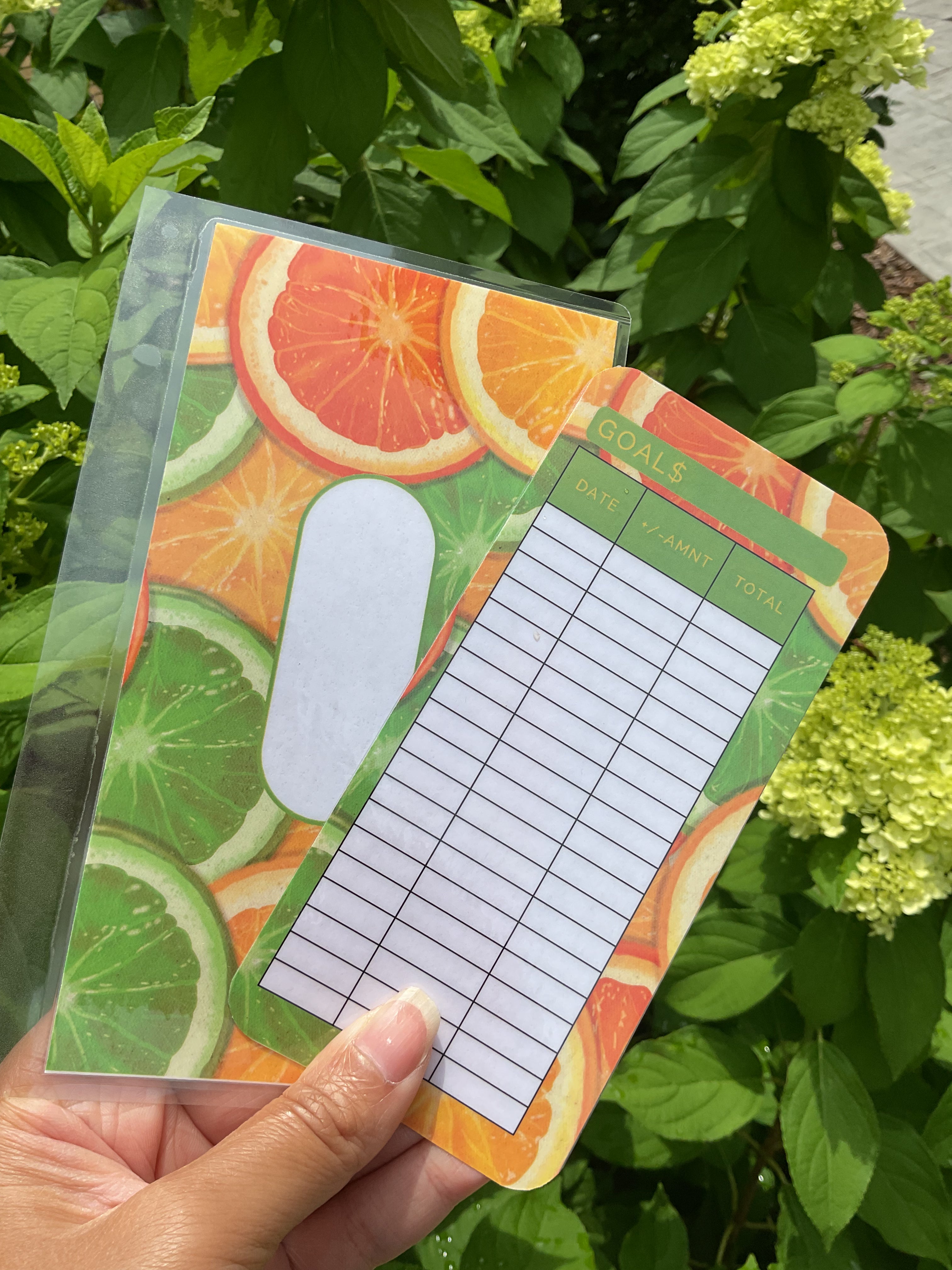 Fresh Fruit envelope bundle 6