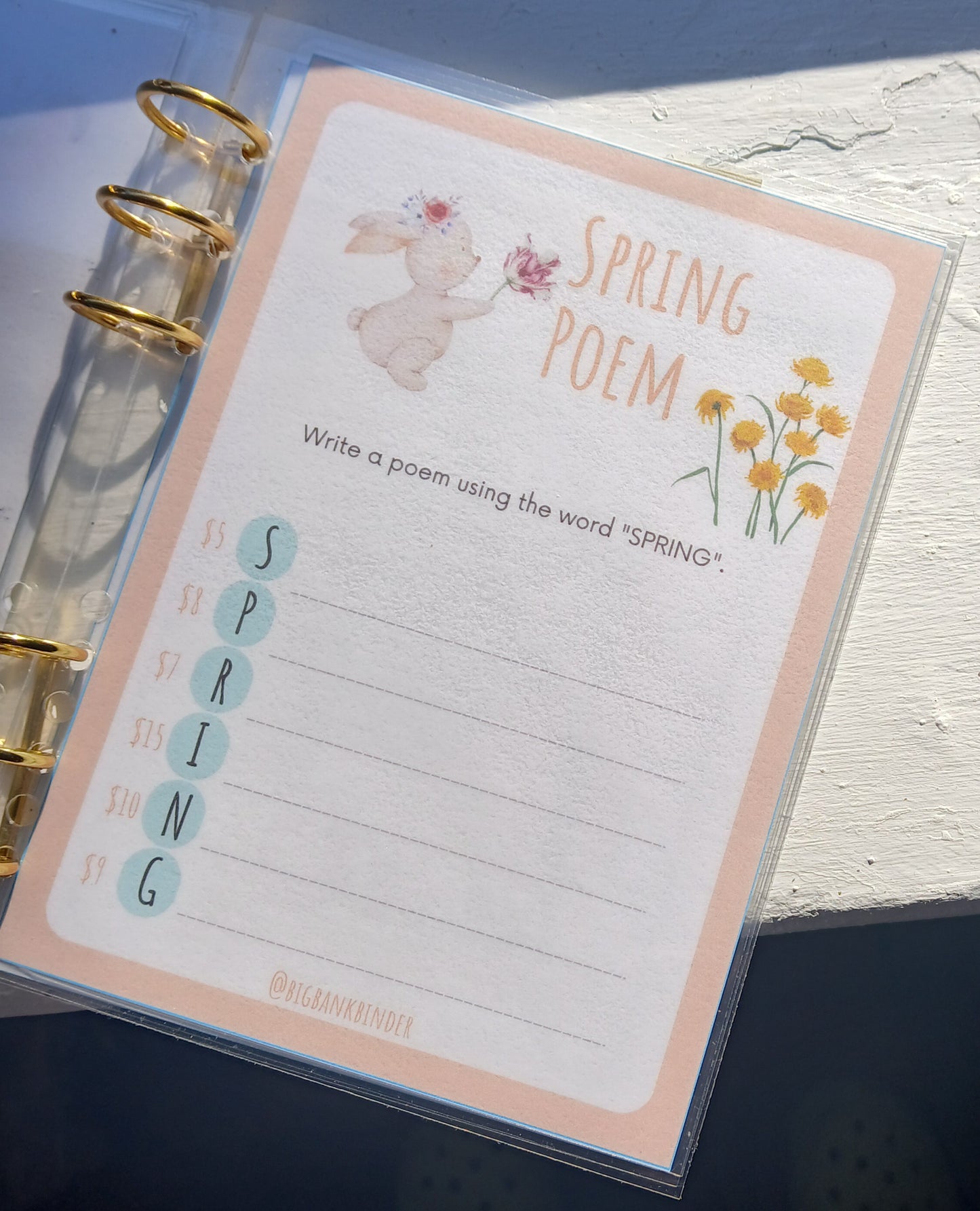 Seasonal savings book