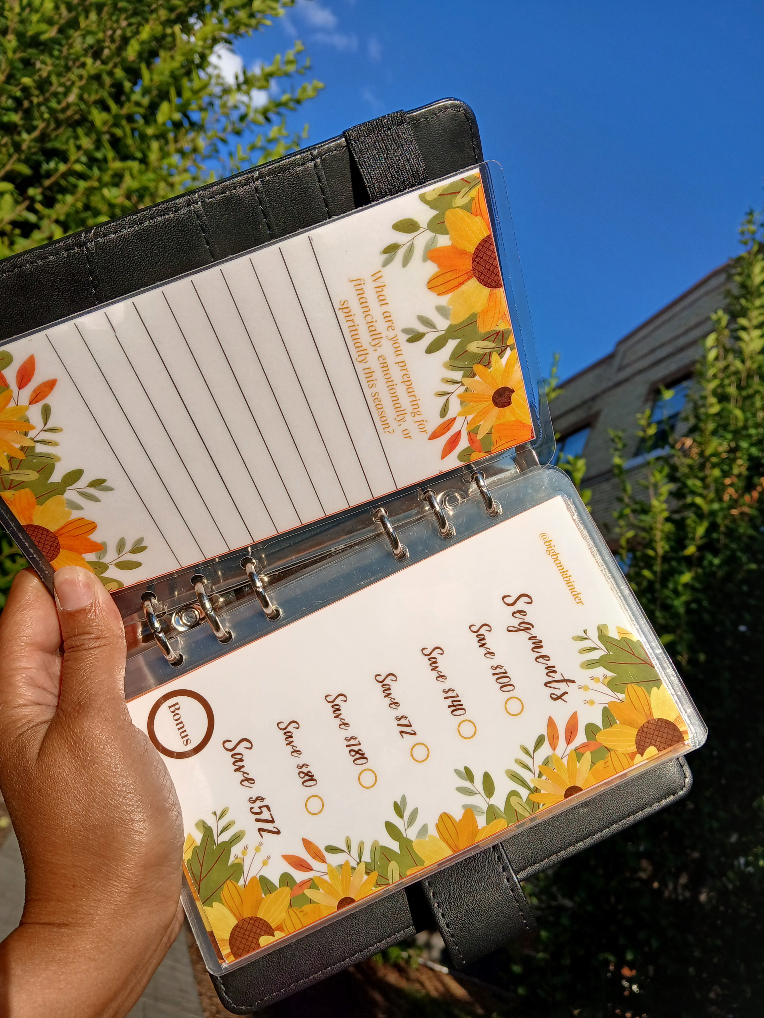 $572 Golden Opportunity Savings Challenge