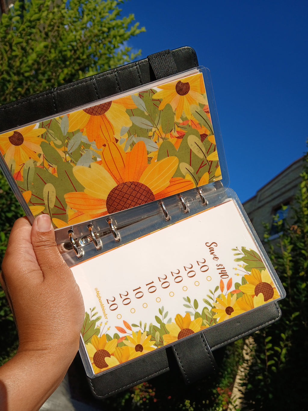 $572 Golden Opportunity Savings Challenge