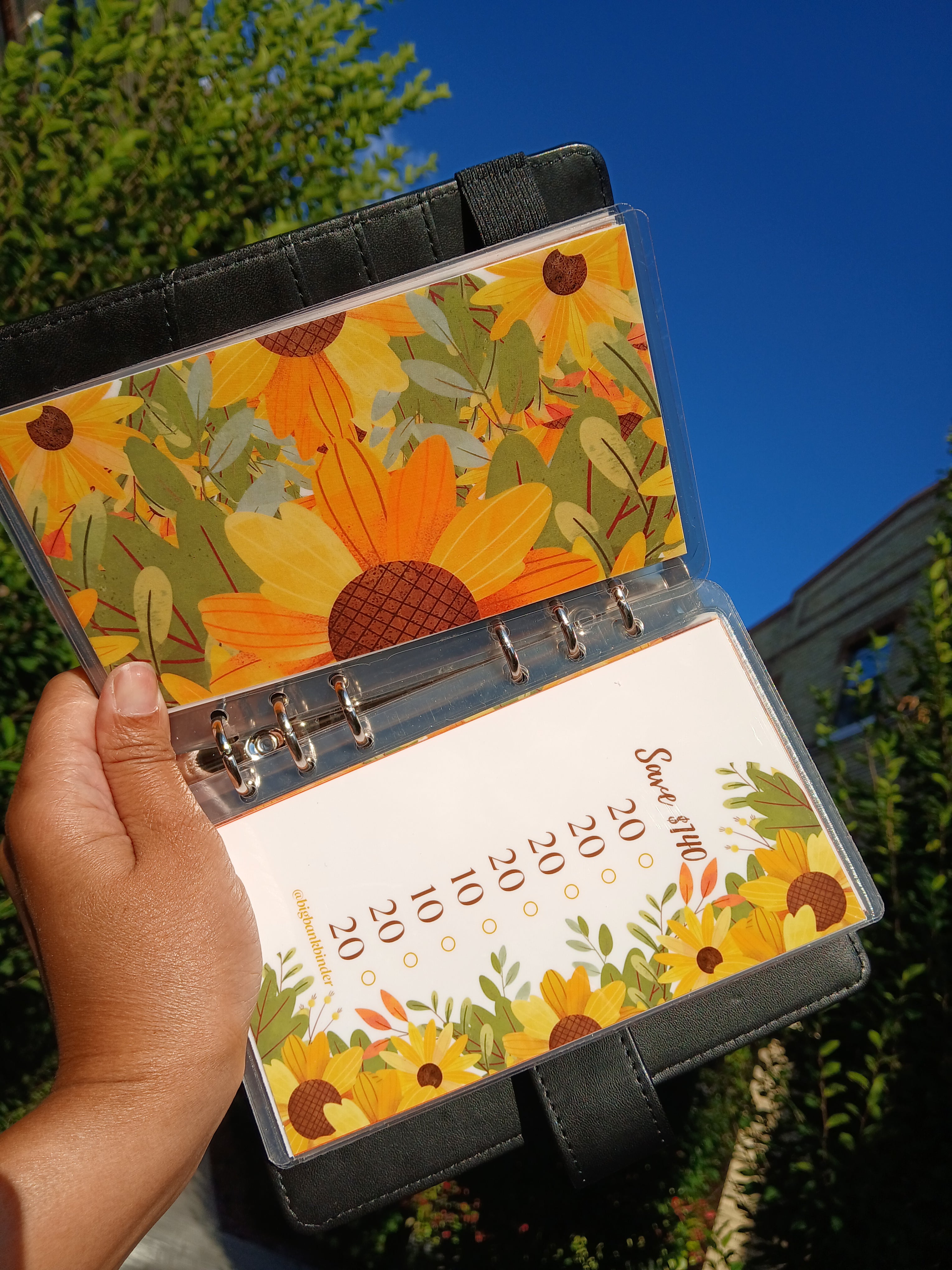 $572 Golden Opportunity Savings Challenge